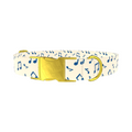 Blue Musical Notes Dog Collar - Thumbnail 1