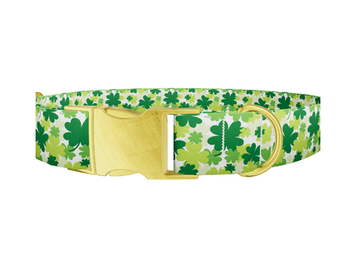 Green Clover Pattern 8870529237207 Dog Collar