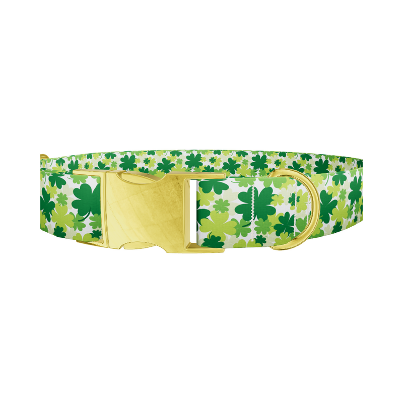 Green Clover Pattern 8870529237207 Dog Collar