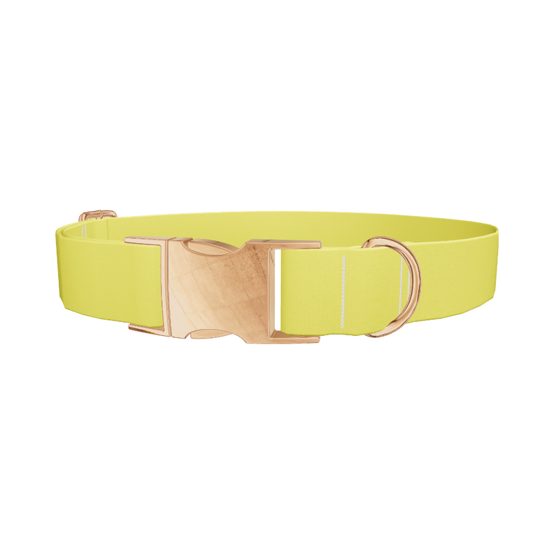 Yellow-Bellied Color Dog Collar