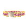 Gradient Musical Note Dog Collar - Thumbnail 3