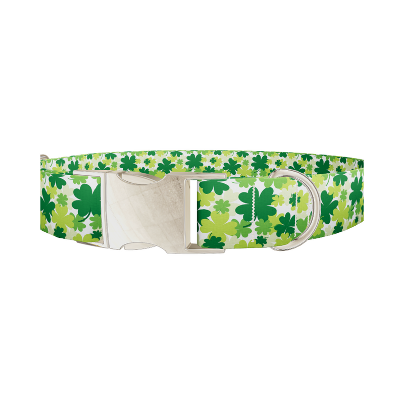 Green Clover Pattern 8870529237207 Dog Collar