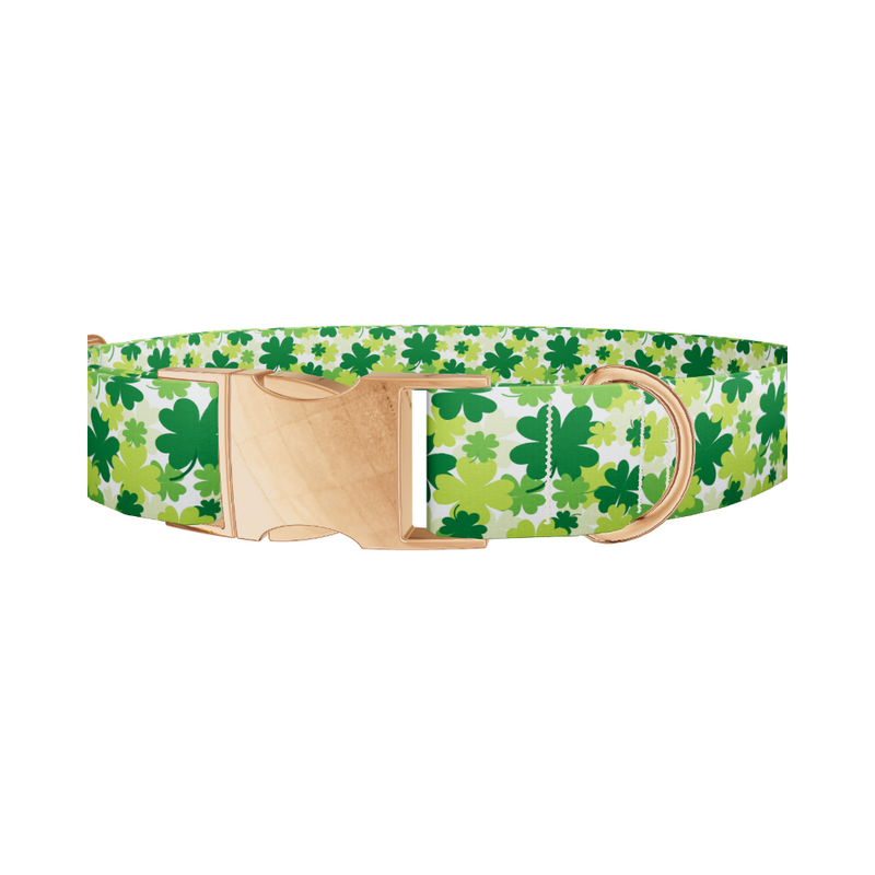 Green Clover Pattern 8870529237207 Dog Collar
