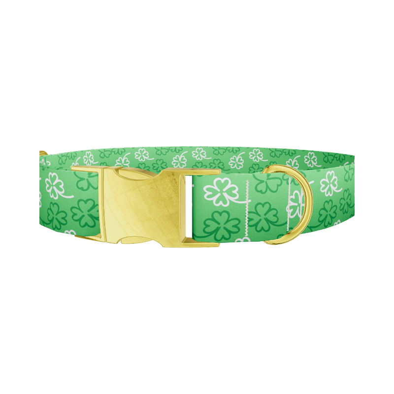 Clover Outline Dog Collar