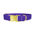 Blue Magenta Violet Color Dog Collar - Thumbnail 1
