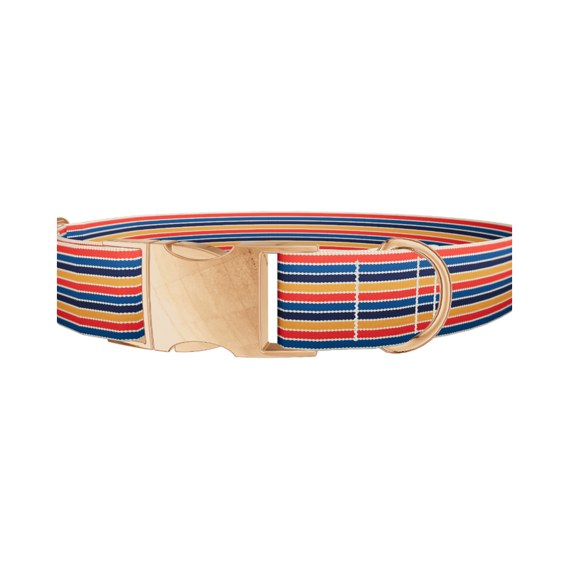 Color Block Hexagon Dog Collar