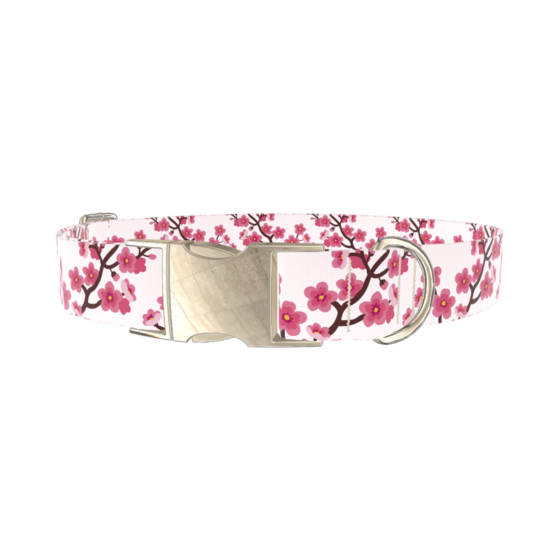 Floral Cherry Blossom Dog Collar