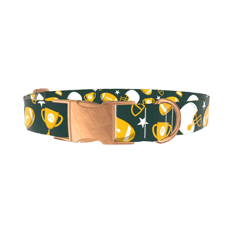 Football Helmet Dog Collar