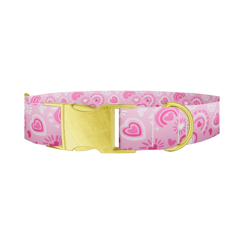 Heart Doodle Dog Collar