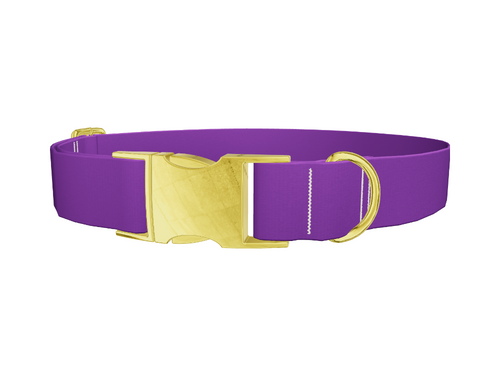 Maximum Purple Color Dog Collar