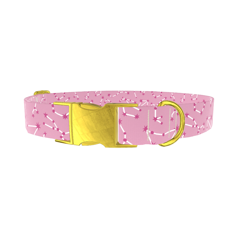 Constellation Pattern Dog Collar
