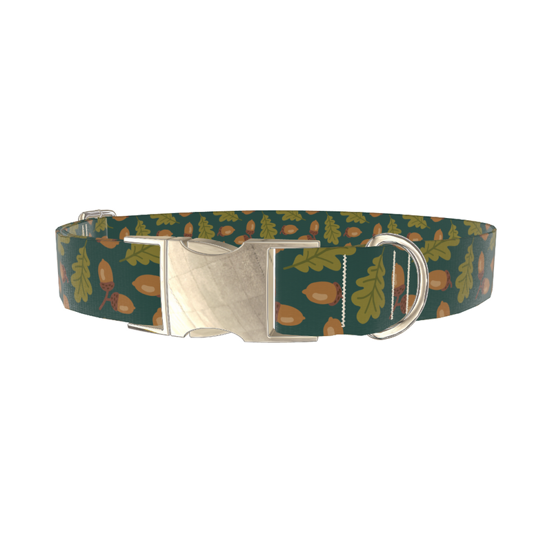 Autumn Acorn Dog Collar