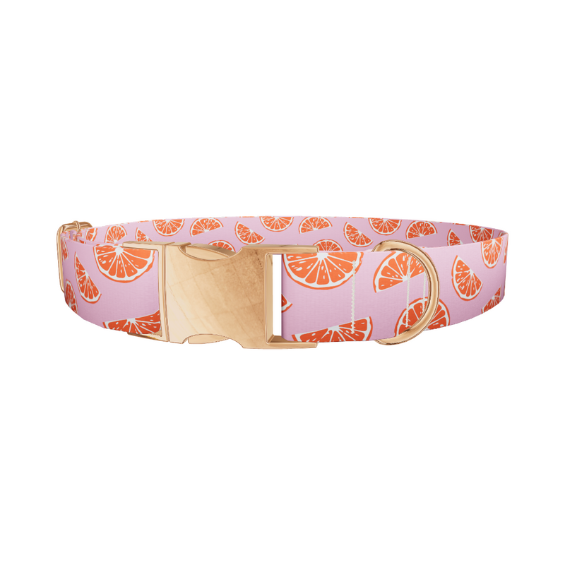 Pink Grapefruit Dog Collar