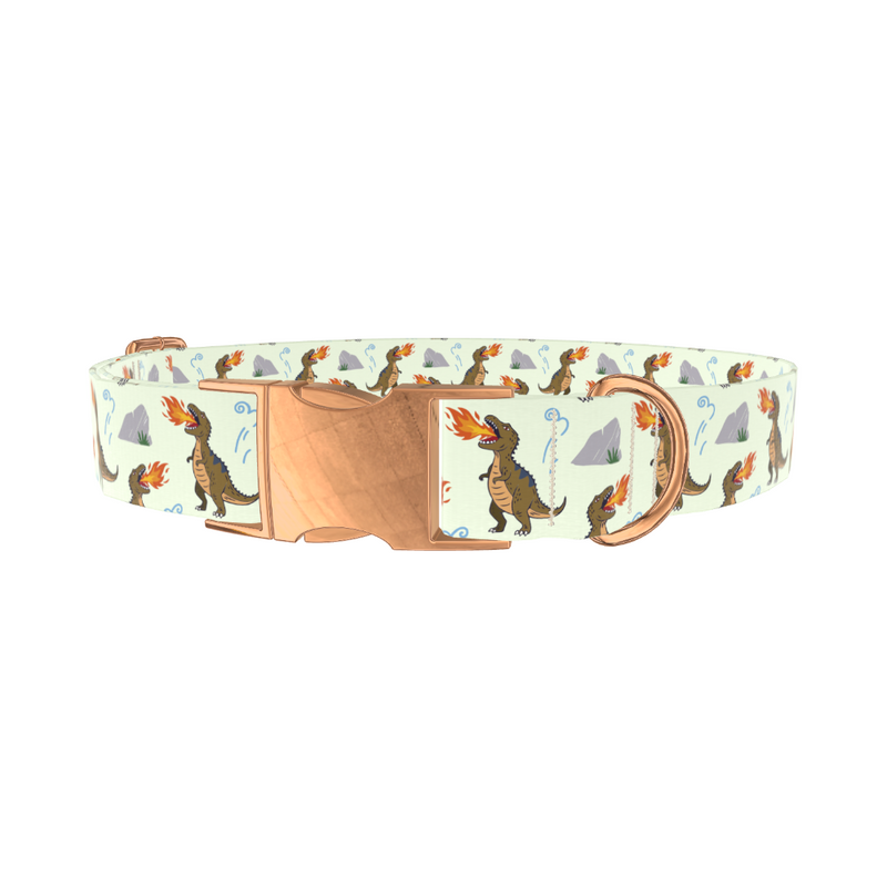 Dinosaur Fire Breath Dog Collar