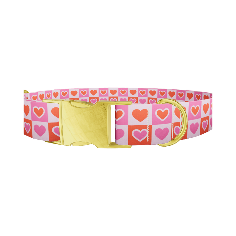 Color Block Heart Dog Collar