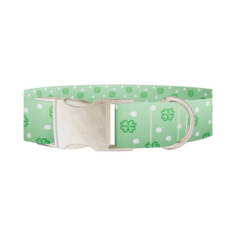 Polka Dot Clover Dog Collar
