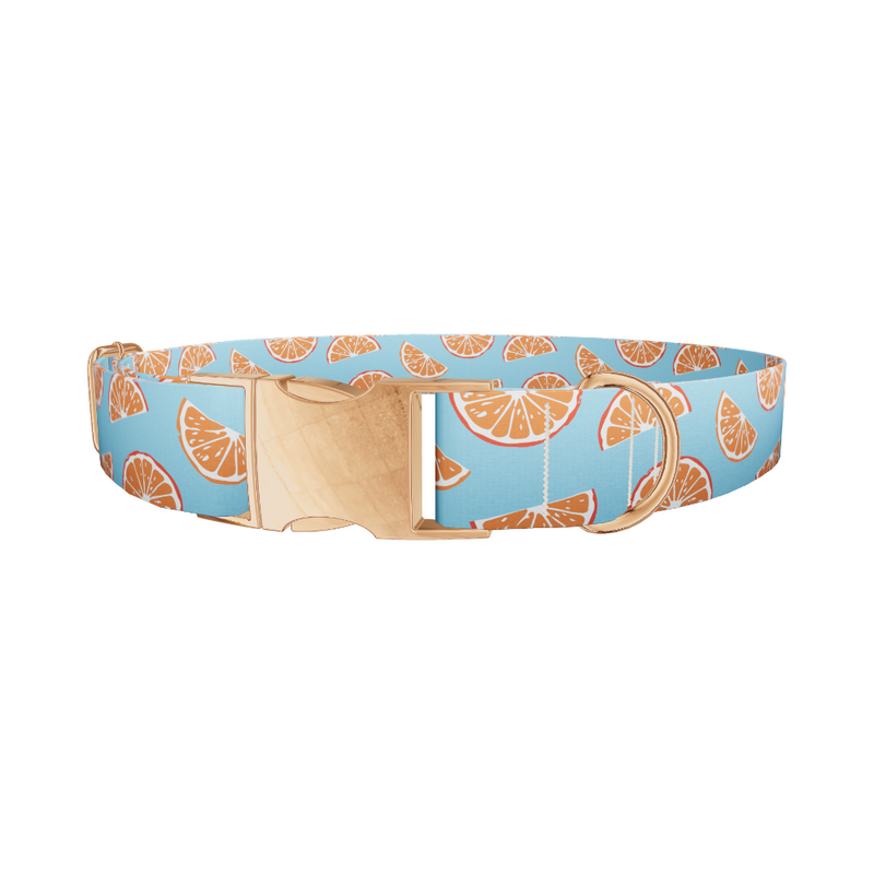 Citrus Slice Dog Collar