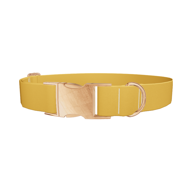Shì Zǐ Chéng Persimmon Color Dog Collar