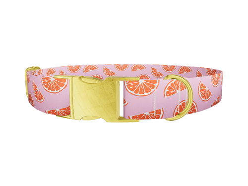 Pink Grapefruit Dog Collar