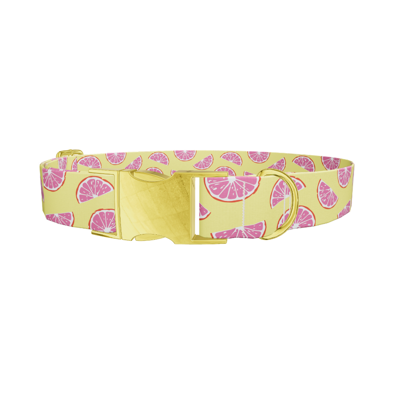 Grapefruit Slice Dog Collar