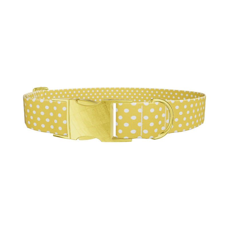 Polka Dot Dog Collar