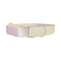 Sunset Gradient Dog Collar - Thumbnail 3