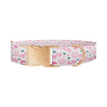 Valentine's Heart Dog Collar - Thumbnail 2