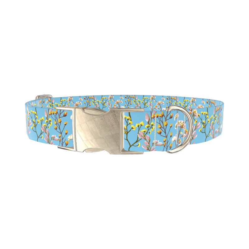 Spring Blossom Dog Collar