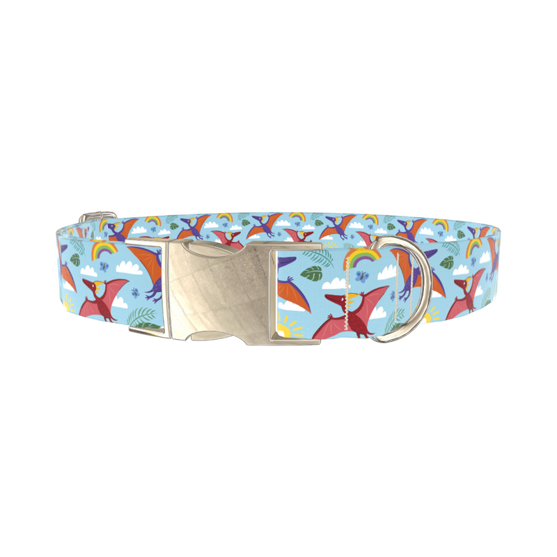 Dinosaur Adventure Dog Collar