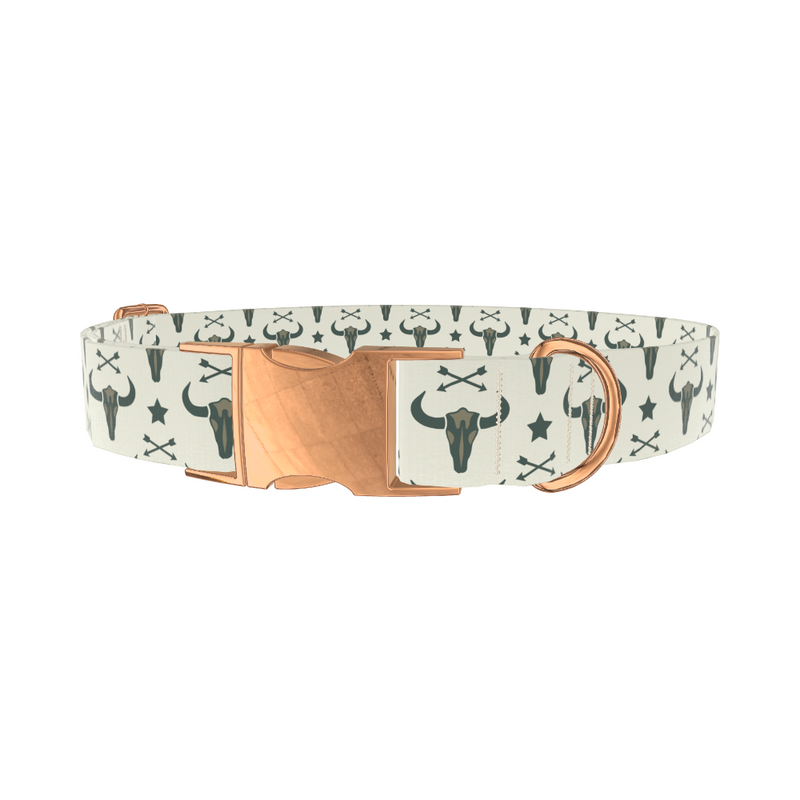 Western Skull and Arrows Dog Collar