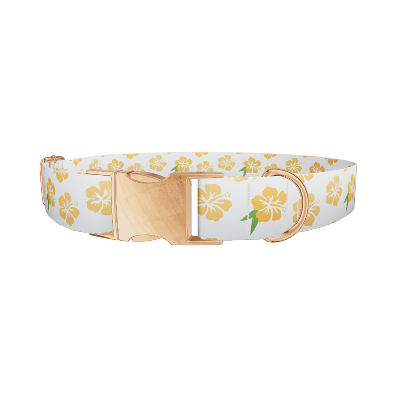 Tropical Hibiscus Dog Collar