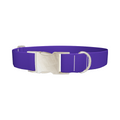 Blue Magenta Violet Color Dog Collar - Thumbnail 3