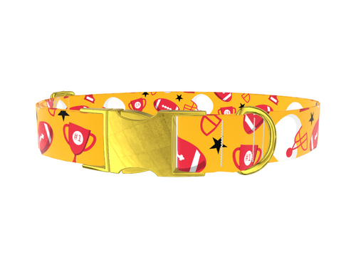 Football Trophy Dog Collar