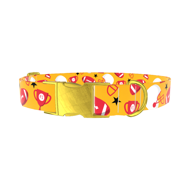 Football Trophy Dog Collar