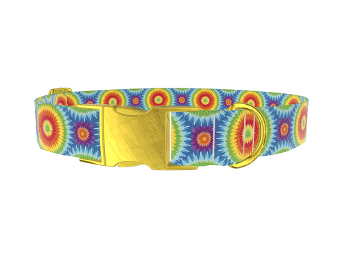 Rainbow Burst Dog Collar