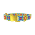 Rainbow Burst Dog Collar - Thumbnail 1