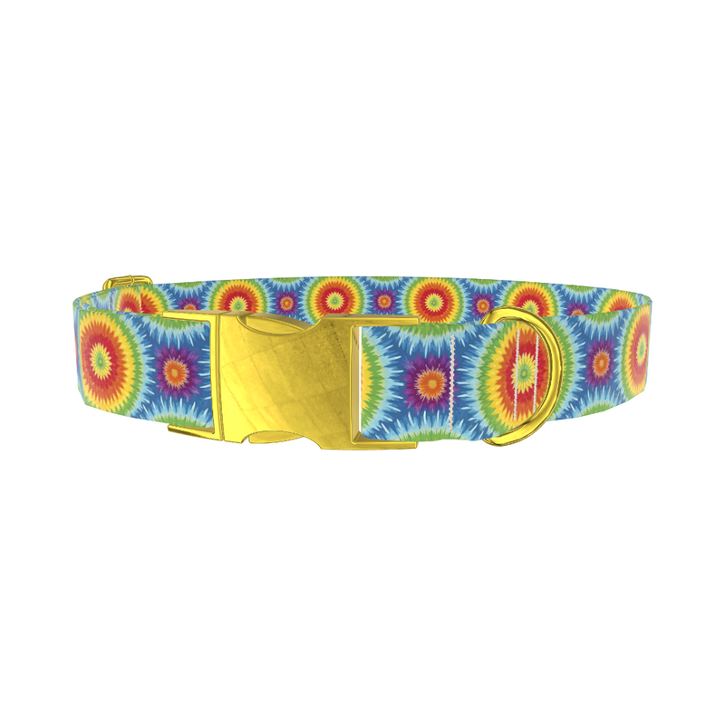 Rainbow Burst Dog Collar