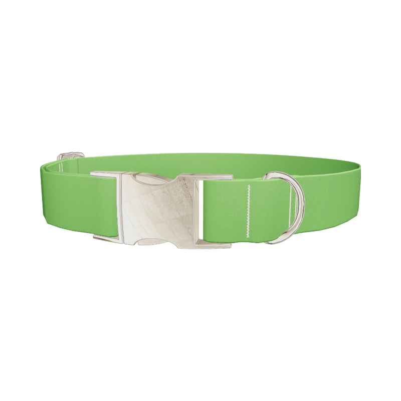 Lost Golfer Color Dog Collar