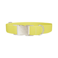 Yellow-Bellied Color Dog Collar - Thumbnail 3