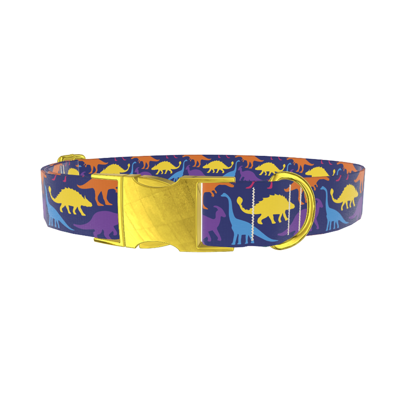 Dinosaur Pattern Dog Collar