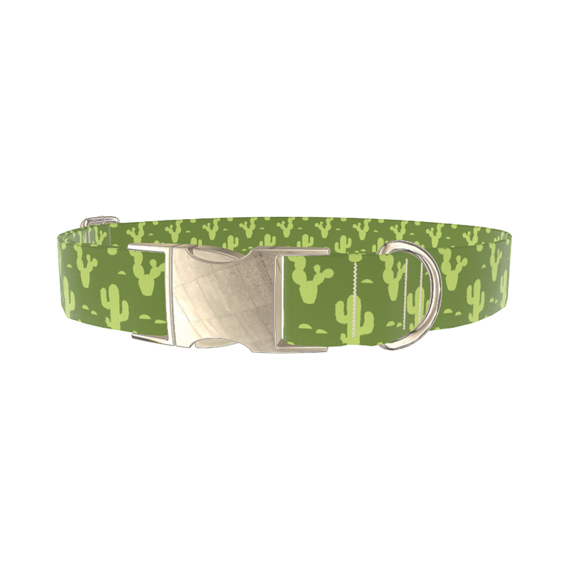 Cactus Desert Dog Collar