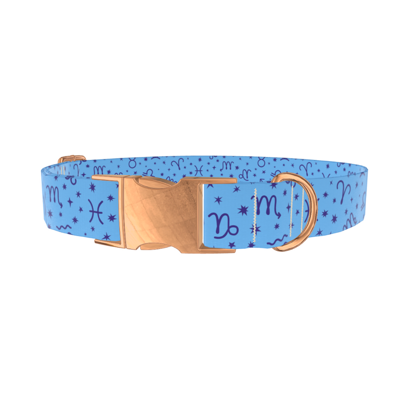 Zodiac Symbols Dog Collar