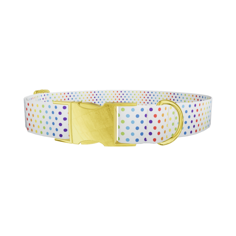 Rainbow Polka Dot Dog Collar