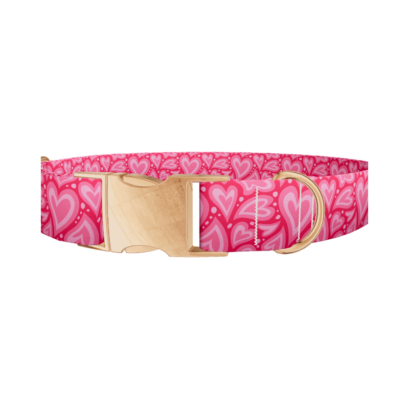 Pink Heart Burst Dog Collar