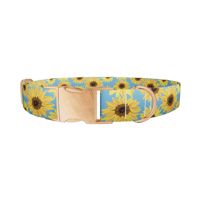 Sunflower Floral Dog Collar