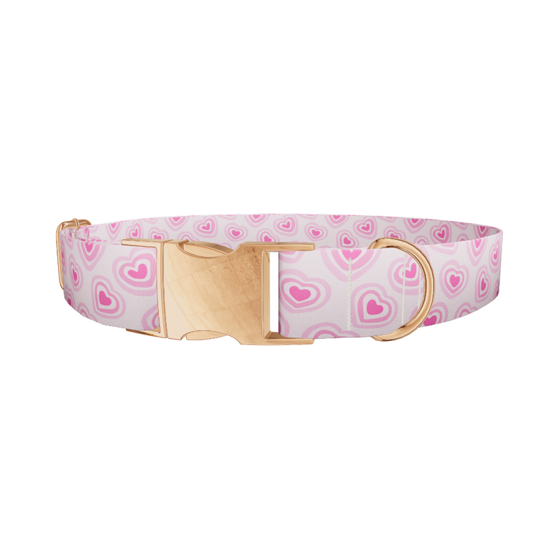 Layered Heart Dog Collar