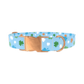 Colorful Clover Dog Collar - Thumbnail 2