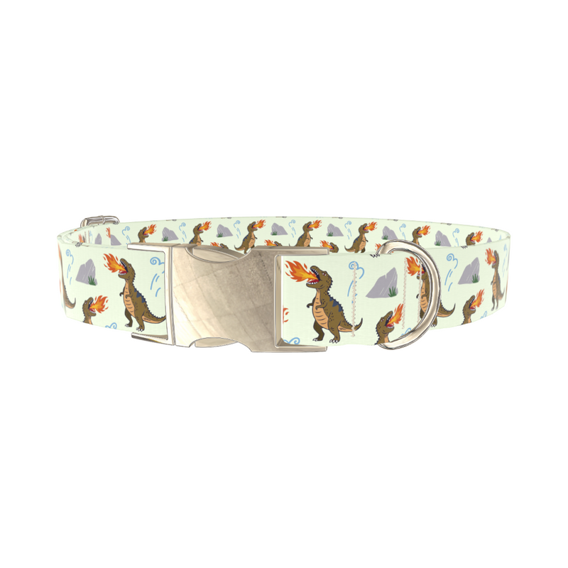 Dinosaur Fire Breath Dog Collar