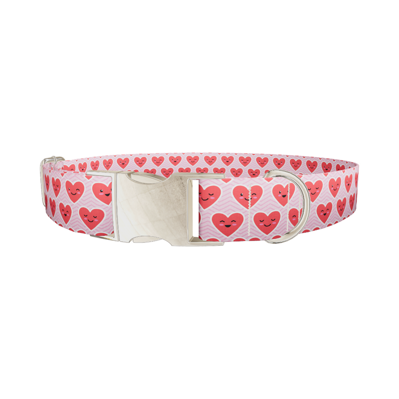 Kawaii Hearts Dog Collar