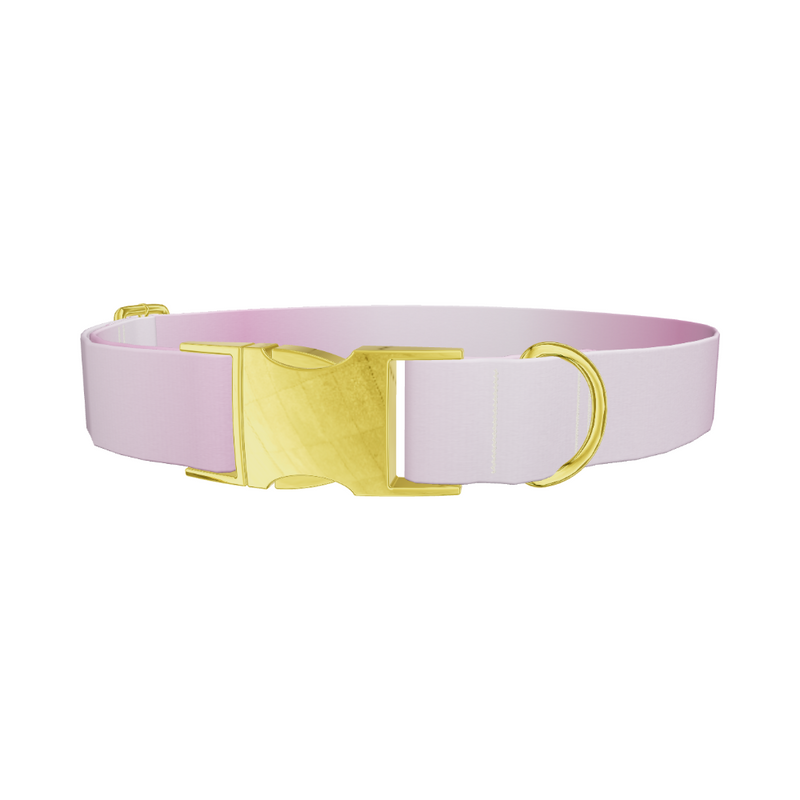 Pink Gradient Dog Collar